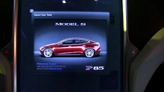 We named our Tesla Model S
