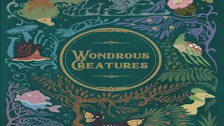 Wondrous Creatures: Discussion