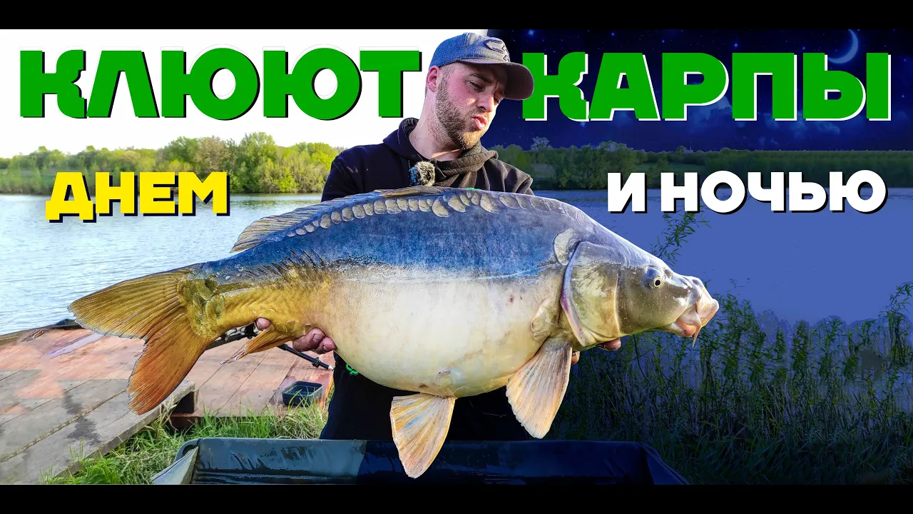 rybalka