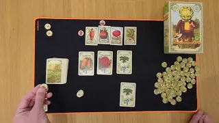 Mr. Cabbagehead's Garden how to setup play and review #boardgame #games #tabletop AmassGames #4k