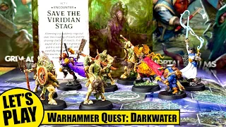 WARHAMMER QUEST DARKWATER Solo Playthrough | Act I Session 2 - Save the Viridian Stag