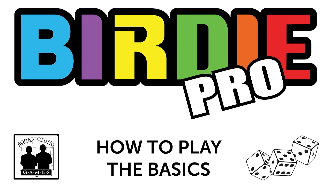 BIRDIE Pro The Basics