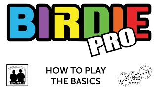 BIRDIE Pro The Basics