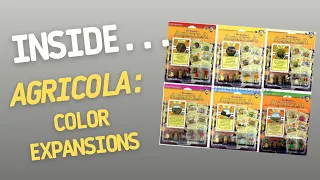 Inside...Color Expansions for AGRICOLA Board Game(4K)