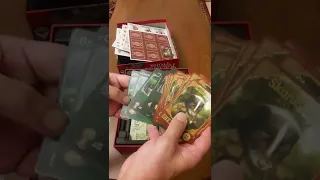 Unboxing Raccoon Tycoon (No Talking)