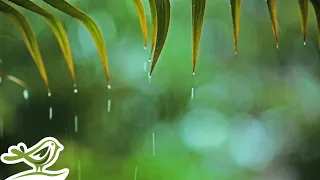 You & Me: Relaxing Piano Music with Rain Sounds by Peder B. Helland