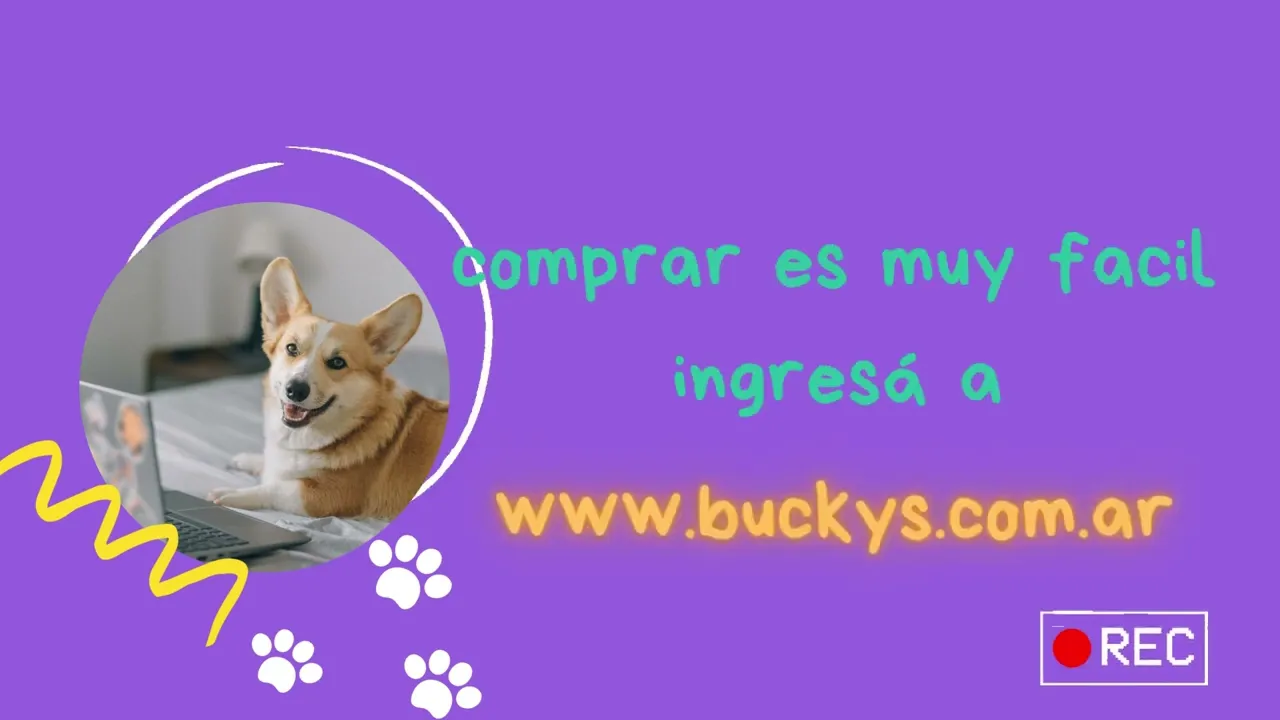 Video de Pet Shop Bucky's
