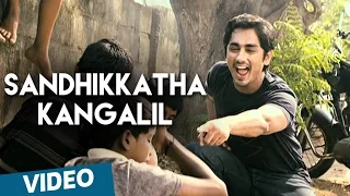 Sandhikkatha Kangalil Official Video Song | 180 | Siddharth | Priya Anand