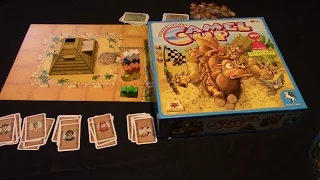 Jeremy Reviews It... - Camel Up - Spiel des Jahres 2014