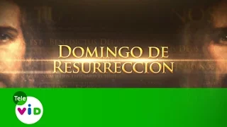 Misa de Resurrección 2017 desde El Municipio de Envigado/Colombia  - Tele VID
