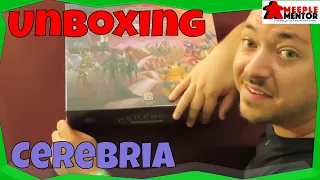 Unboxing Cerebria: The Inside World