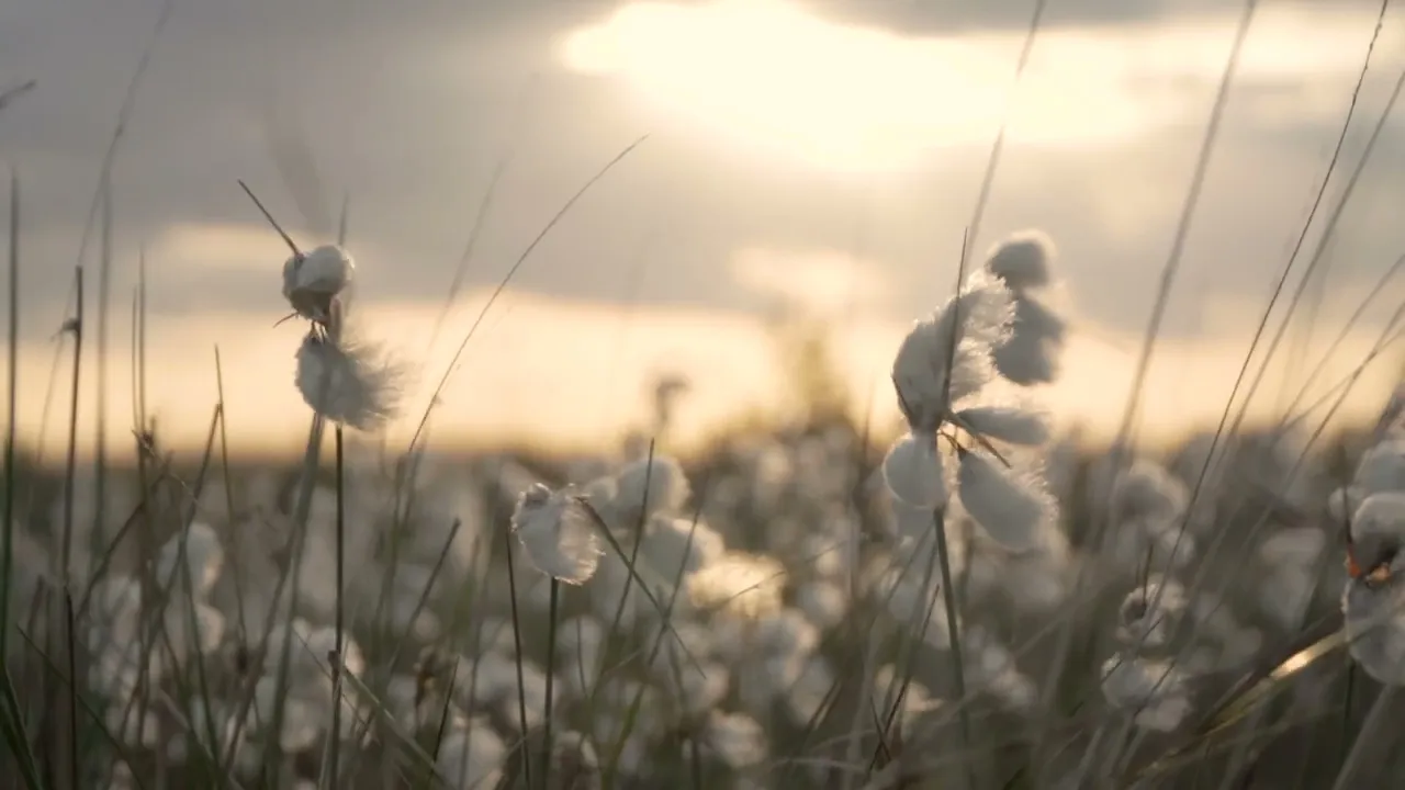 Video de Agulha Circular  Moda Artesanal