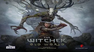 Witcher: Old World - Discussion