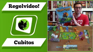 Cubitos Brettspiel Regelvideo - Knallhartes Würfelrennen!
