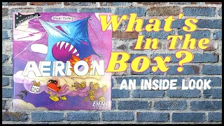Aerion - An Inside Look At What's In The Box