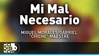 Mi Mal Necesario, Miguel Morales Y Gabriel “El Chiche” Maestre - Audio