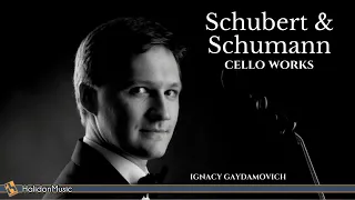 Ignacy Gaydamovich - Schubert & Schumann: Cello Works