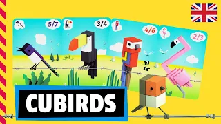 CUBIRDS Board Game - How to play / Review / Tutorial (English)