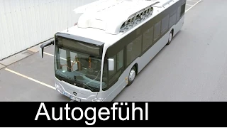 Mercedes Citaro NGT urban city bus Stadtbus with Natural Gas Technology Daimler