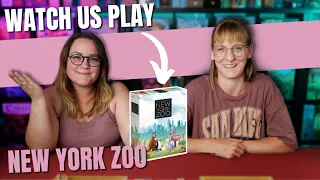 New York Zoo | Board Game Playthrough