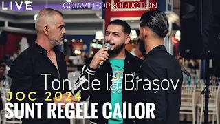 Toni de la Brasov🎠Sunt regele cailor𓃗Joc☞Live 2024